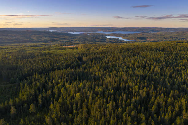 Drone view of a landscape with vast forests in the southern Dalarna region of Sweden.