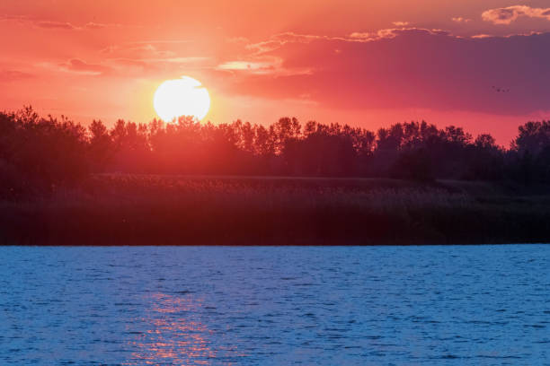 istock Sunset Scene over Lake, Water Surface Sunset 1264527440