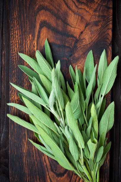 istock Bunch   fresh sage  on  wooden background 1264528175