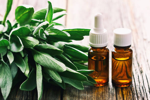 istock Spa resort composition with herbal aroma oil 1264529448