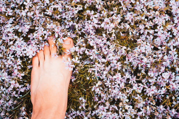 istock leg in flowers outdoors with a place for your unique text. 1264529542