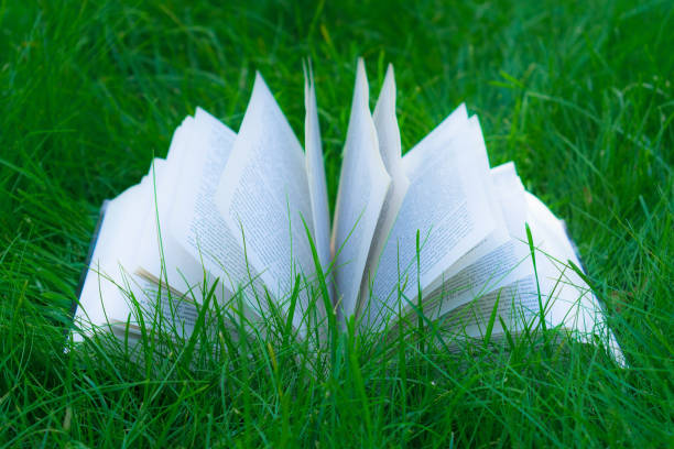 istock The open book lies on the green grass. Close-up. 1264531471