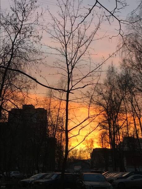 istock sunset in the city 1264532227