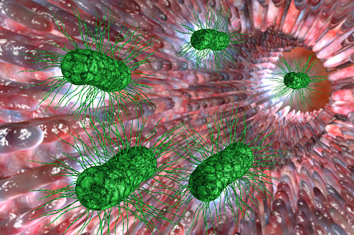 SIBO, small intestine bacterial overgrowth medical 3D illustration