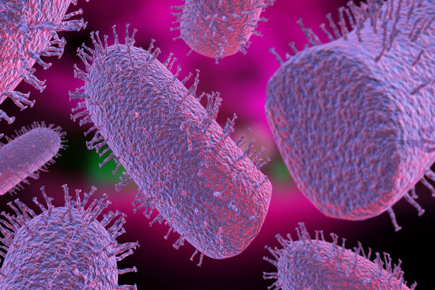 istock Rabies Virus 3D Illustration 1264532500