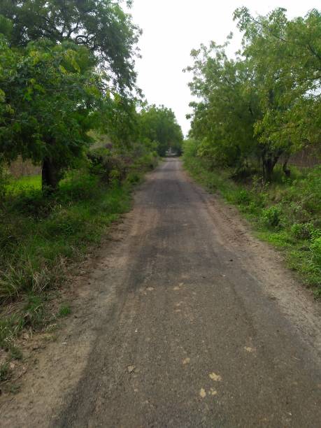 istock Forest hill and road 1264532535