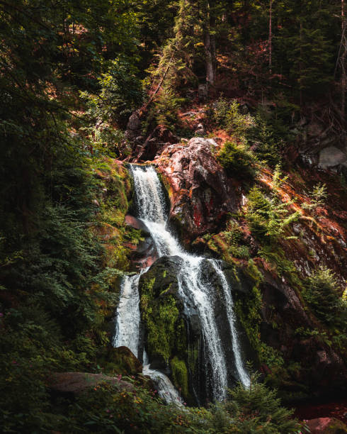 cascatas mais longas da alemanha - black forest waterfall triberg landscape - fotografias e filmes do acervo