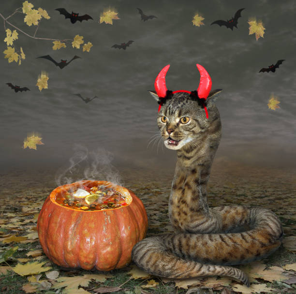 istock Cat snake with red horns in wood 3 1264533633