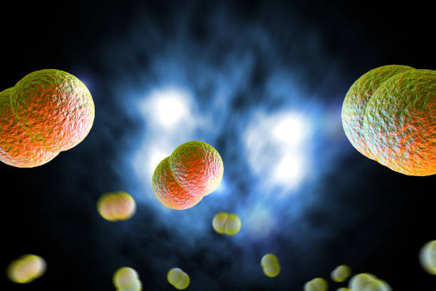 istock Meningitis Bacteria Infection 3D Illustration 1264535263