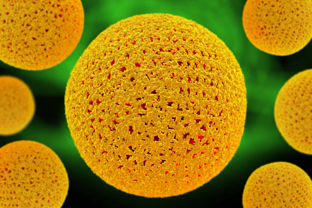 istock Flower Pollen Particles 3D Illustration 1264535554