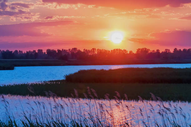 istock Sunset Scene over Lake, Water Surface Sunset 1264536514