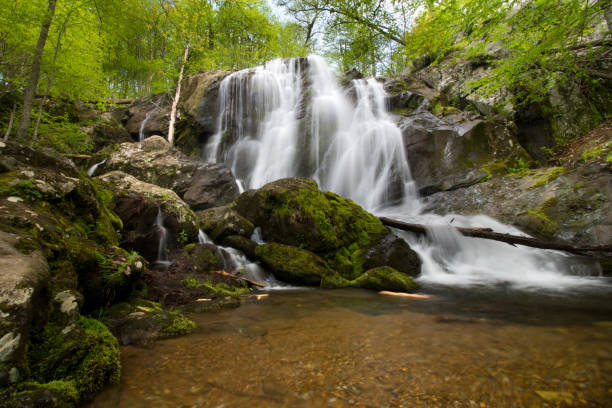 istock Asheville, North Carolina - Waterfall & Nature 1264539173