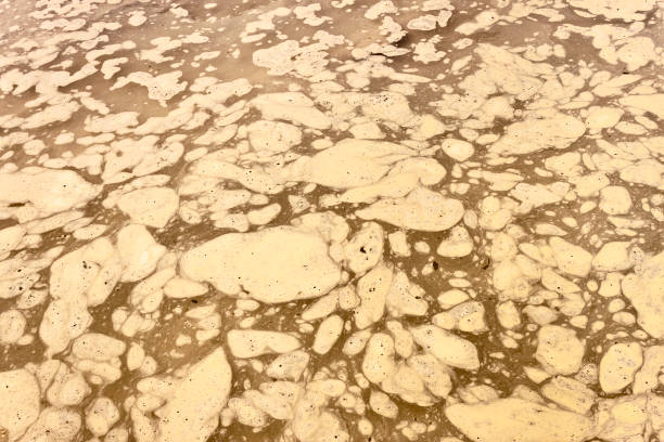 istock Muddy water with foam on a puddle. Stagnant cloudy water background 1264539183