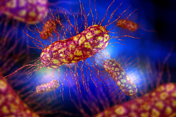 istock E.Coli Bacteria Cells 3D Illustration 1264539286