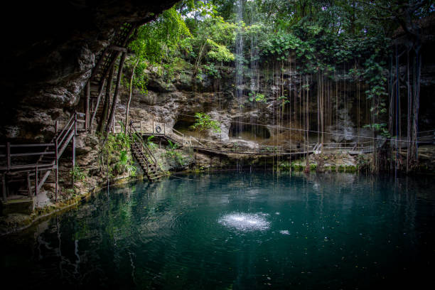 Cenote in Mexico. Landscape. View of the beautiful cenote in Mexico. cenote stock pictures, royalty-free photos & images