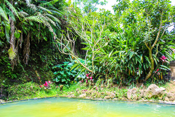istock Tabanan Hot Springs / Angseri Hot Springs, Bali, Indonesia 1264542288