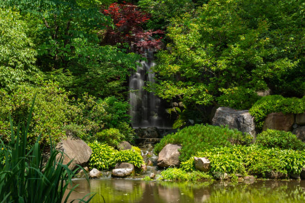 istock Waterfall in Japanese Garden 1264542711