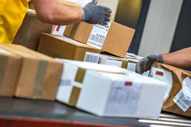 istock Close-up photo of postal office workers handling packages 1264545088