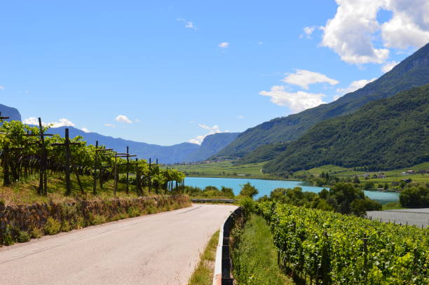 lago caldaro - lake caldaro fotografías e imágenes de stock