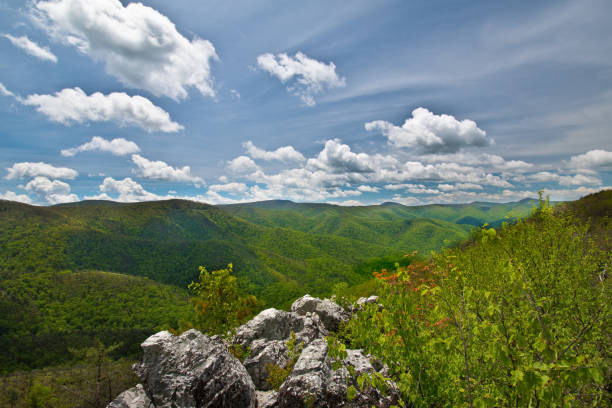 park narodowy shenandoah - spacer po lesie - shenandoah river valley zdjęcia i obrazy z banku zdjęć