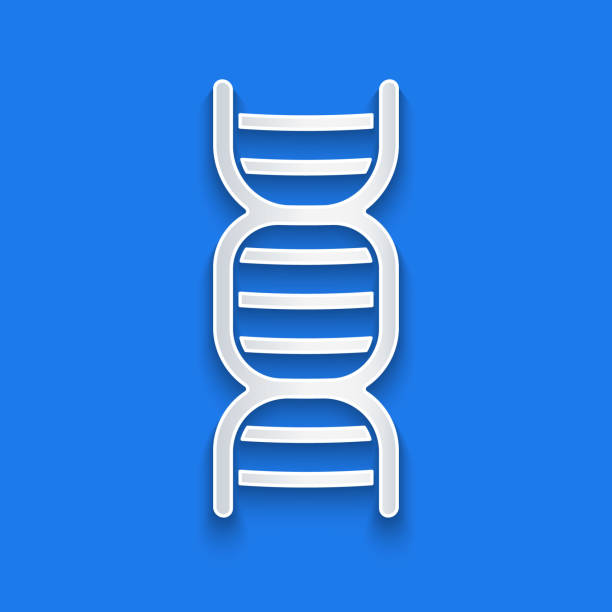 ikona symbolu dna wyciętego na papierze izolowana na niebieskim tle. styl sztuki papierowej. ilustracja wektorowa - medical research healthy lifestyle paper healthcare and medicine stock illustrations