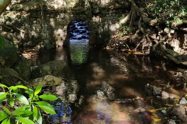 Photo of Beautiful nature scene of Walliabou Heritage Park, Barbados