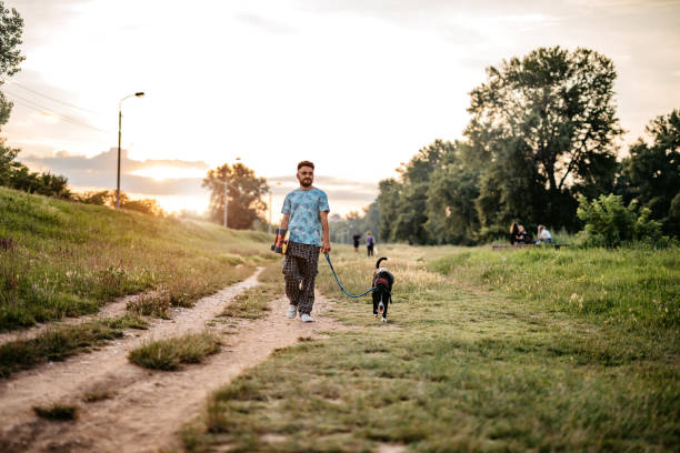 istock Skateboarder taking dog for a walk 1264551619