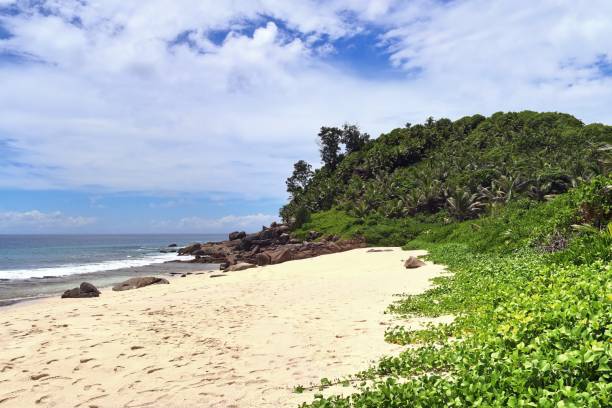 istock Sunny day beach view on the paradise islands Seychelles 1264551649