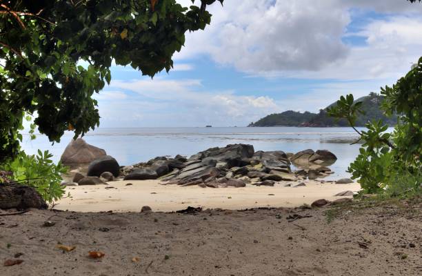 istock Sunny day beach view on the paradise islands Seychelles 1264551825