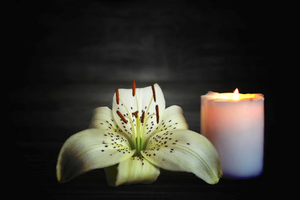 istock Candle and flower. Condolence card 1264553635