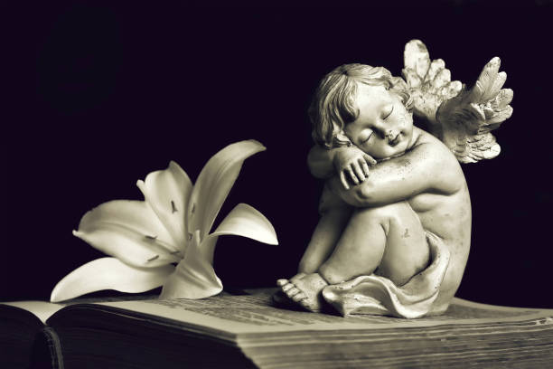 istock Angel and white lily flower on open book isolated on black background 1264553683