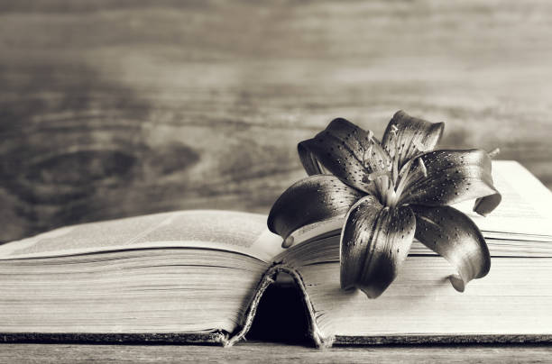 istock Condolence card with dark lily flower on open book 1264553734