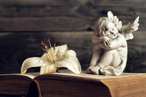 istock Angel and lily flower on open book 1264553811