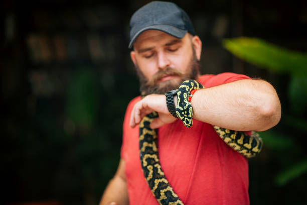 istock Unusual Wild Pet 1264555029