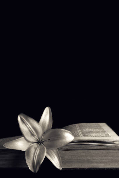 istock Sympathy card with lily flower on open book 1264555834