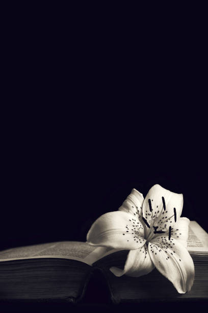 istock Sympathy card with copy space. White lily flower on open book 1264555855