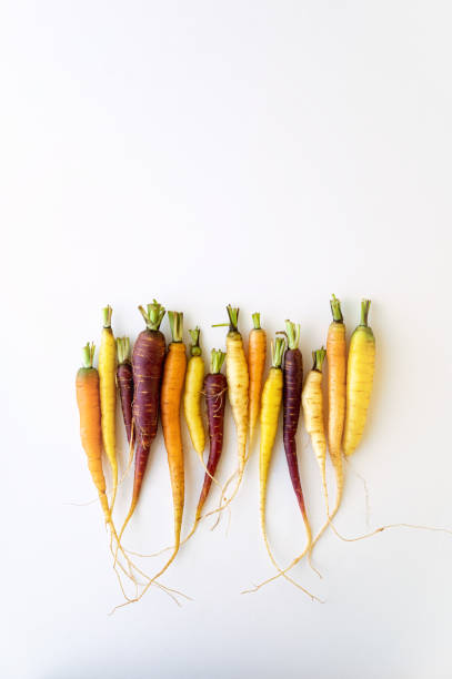 istock Colorful organic carrot 1264556993