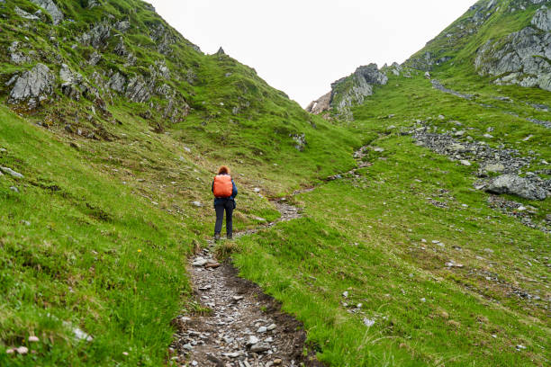istock Woman hiker on a trail in the mountains 1264557231
