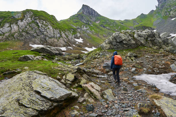 istock Lady hiker on a trail in the mountains 1264557293