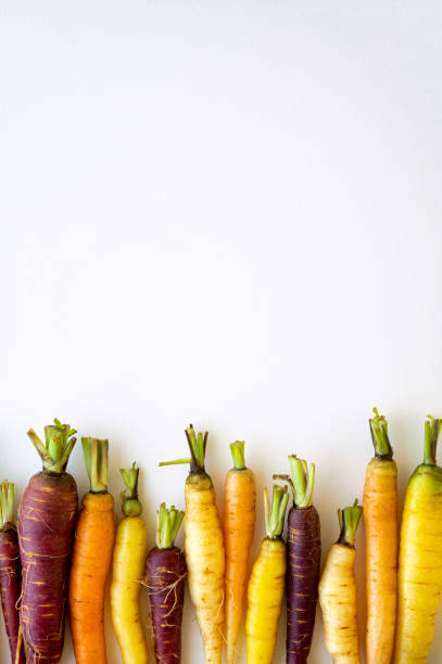istock Colorful organic carrot 1264557998
