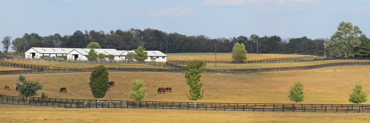 Lexington, Kentucky, USA - October 1, 2019: Kentucky rural scene panorama. The countryside surrounding the city of Lexington is known as the Bluegrass region of Kentucky - characterized by its rolling hills, fertile soil and horse farms. The region has been a center for breeding thoroughbred race horses since the 1800’s.