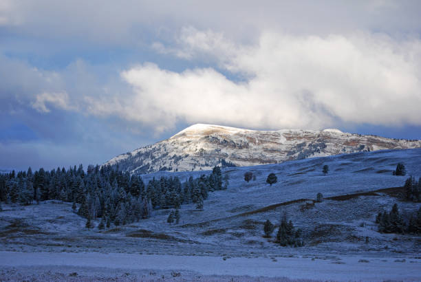 istock Snowy Mountain Peak in Yellowstone National Park 1264558151