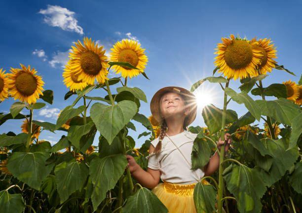 istock Cute girl in a sunflower field 1264559452