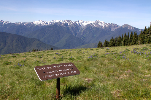 Meadow warning sign at Hurricane Ridge in Olympic National  Park