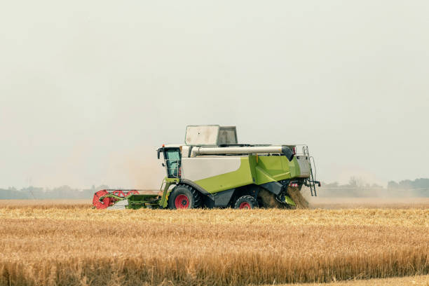 istock Combine harvester working on a wheat field. Harvesting wheat. 1264564412