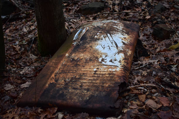 istock The Door of an Abandoned Vintage Refridgator 1264564800