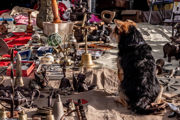 istock Dog watching the marketplace 1264572582