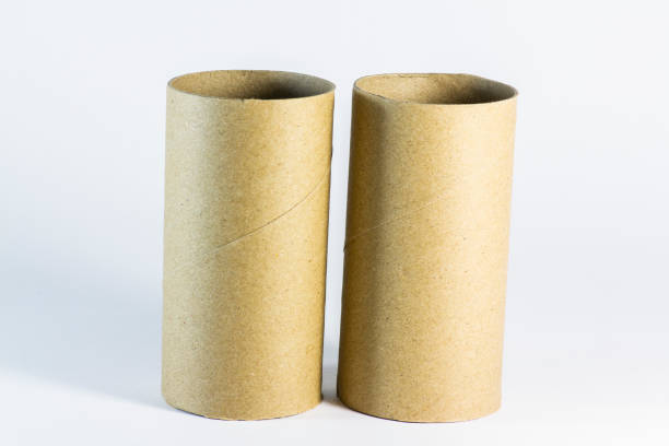 istock Roll toilet paper inside cardboard tube on white background 1264572734