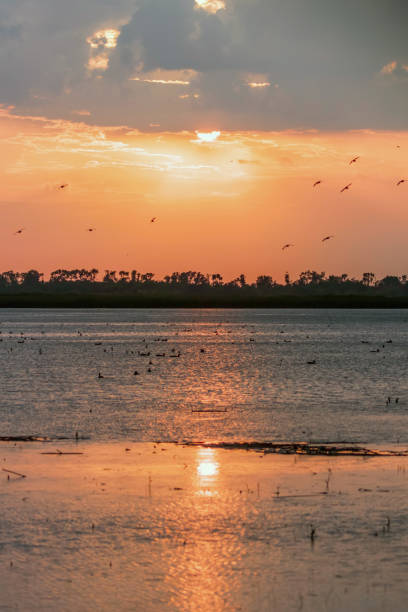 istock Sunset Scene over Lake, Water Surface Sunset 1264574396