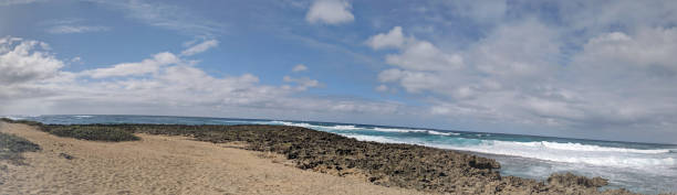 istock Panorama of Waves crash on along lava rock shore 1264577843